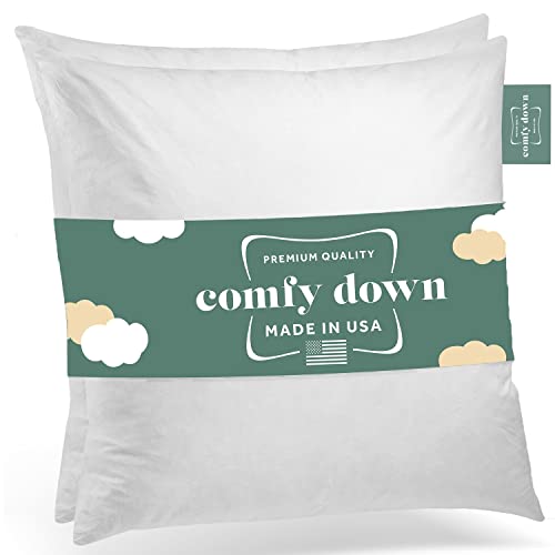 Decorative Throw Pillow Insert, Down and Feathers Fill