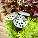 Decorative metal lotus flower with holes on a green plant background