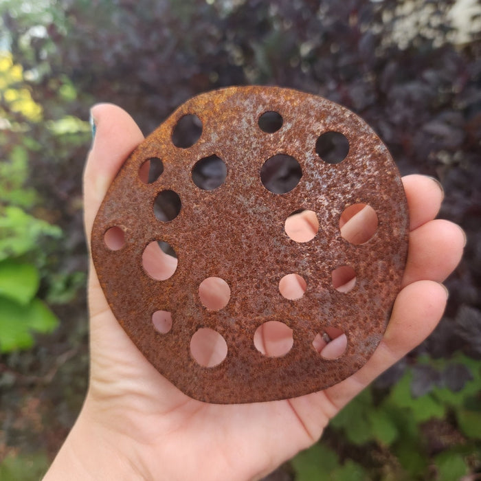 Rust-colored metal disc with holes held in a hand against a blurred natural background