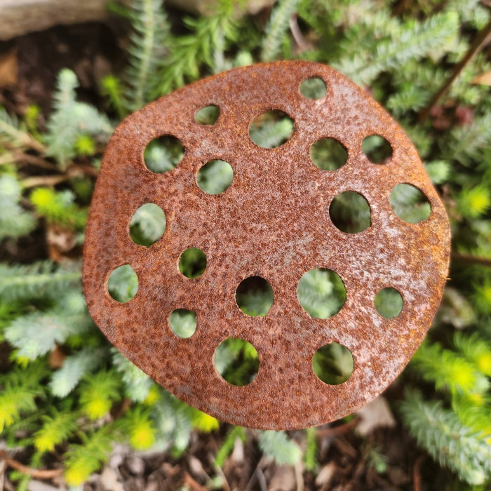 Rust-colored perforated object on a green plant background