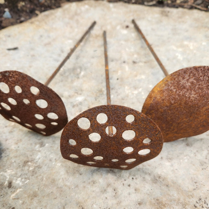 Rust-colored metal discs with holes on a concrete surface