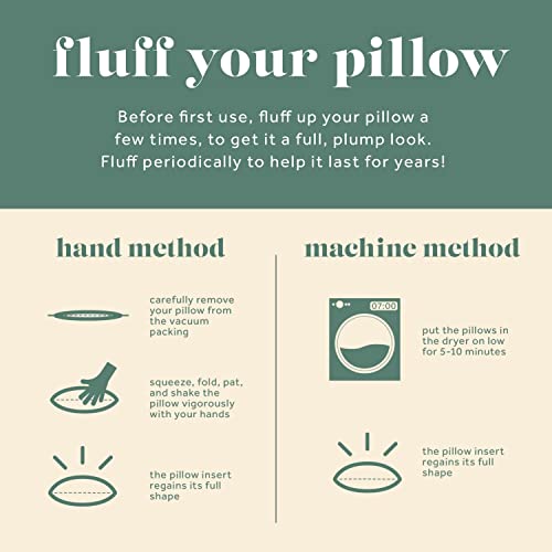 Down, Rectangle Decorative Pillow Insert