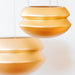 Two orange hanging planters on a white background