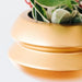Gold planter with a green plant on a white background
