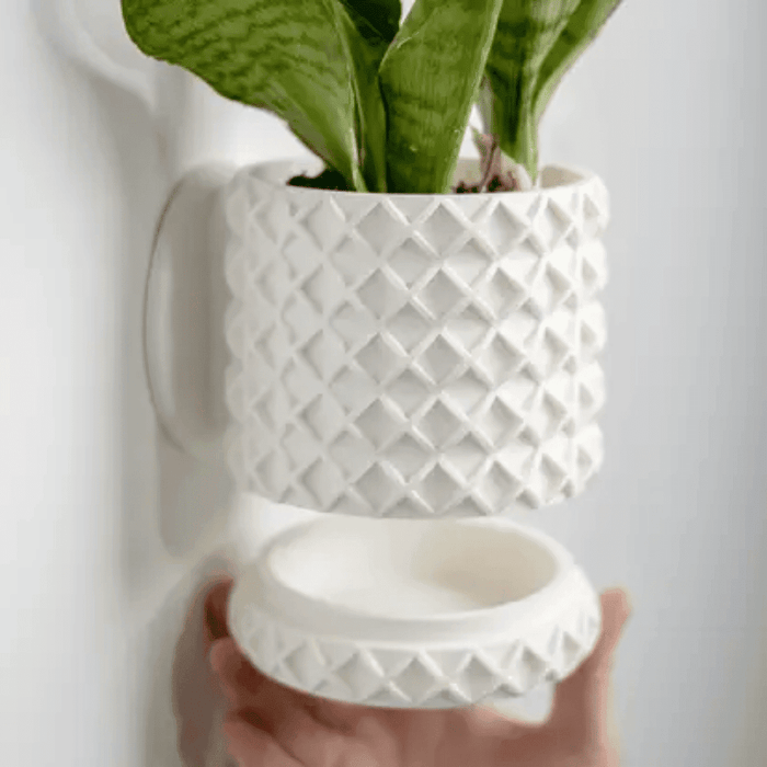 4" Modern Bubble Lattice Wall Planter
