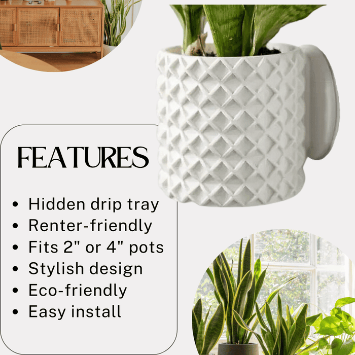 4" Modern Bubble Lattice Wall Planter