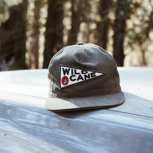 Gray cap with 'Wild Cane' logo on a car hood with a forest background