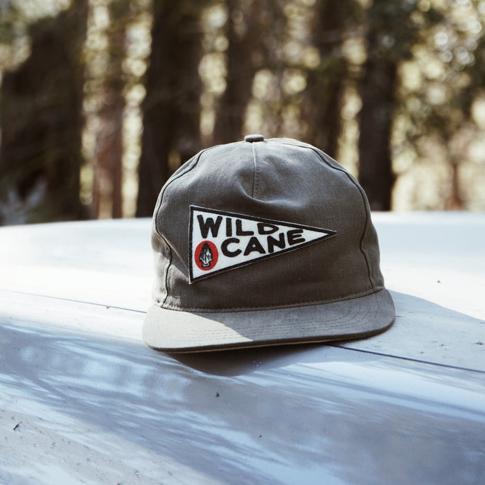 Gray cap with 'Wild Cane' logo on a car hood with a forest background