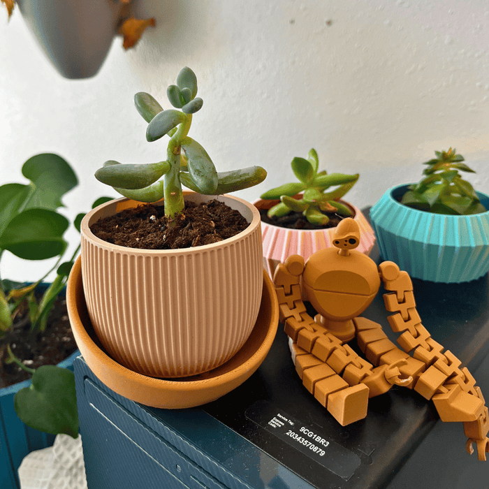 The Eero Planter