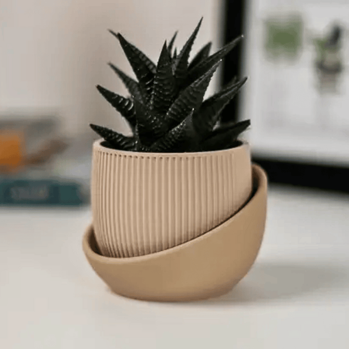 The Eero Planter