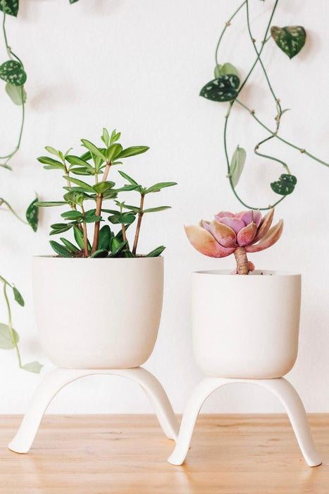 Ceramic Raised Plant Pot