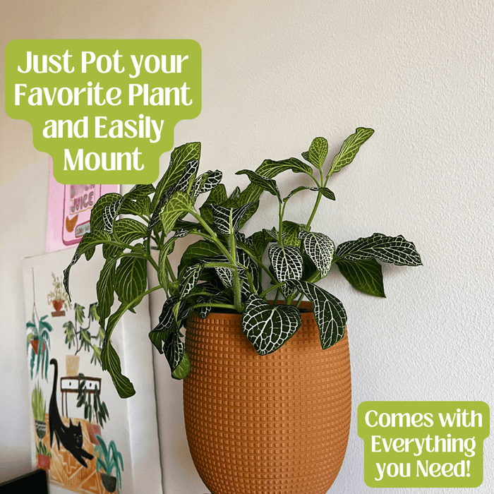 Grid Design Wall Planter with Drip Tray