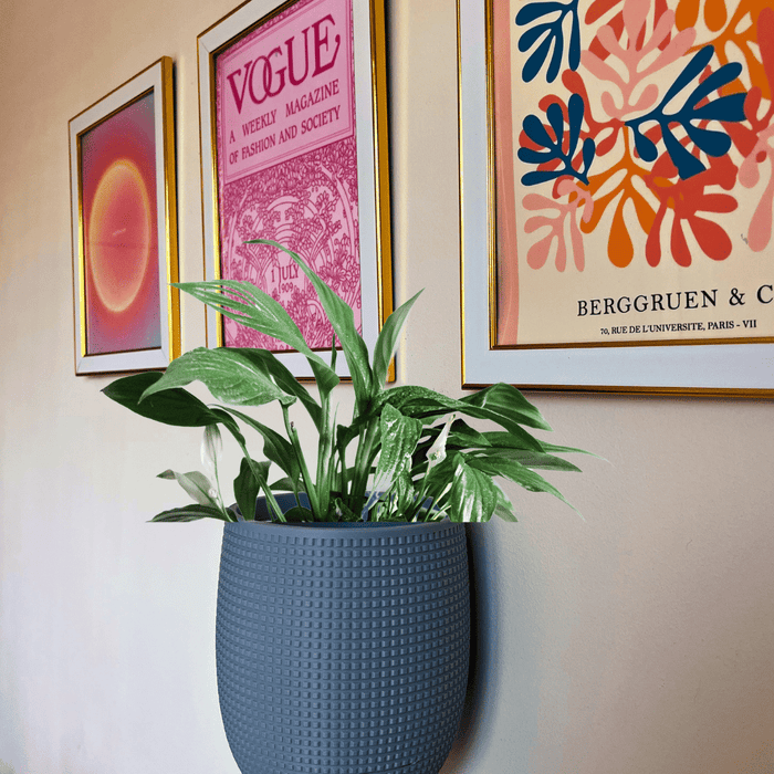 Grid Design Wall Planter with Drip Tray