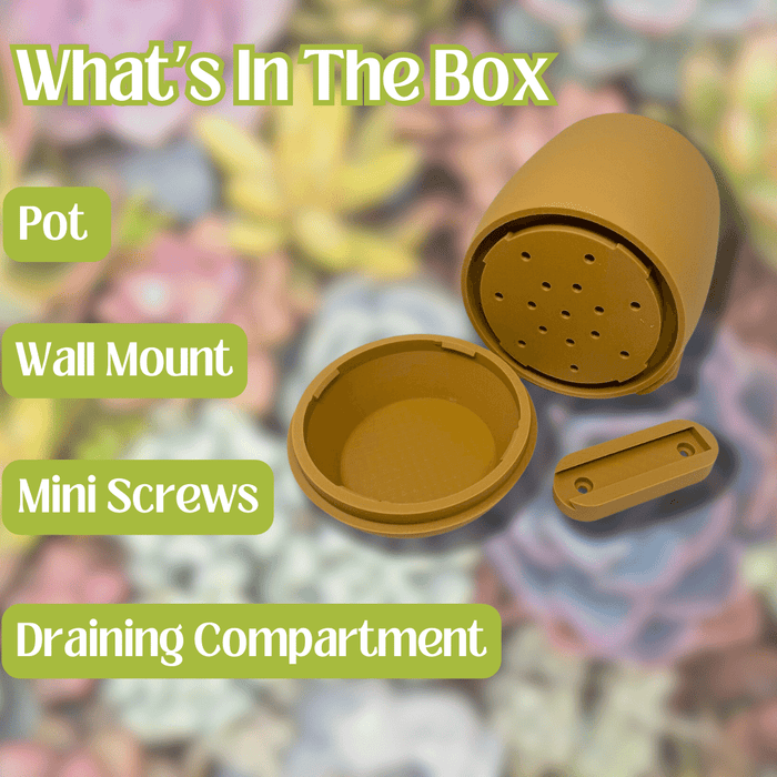 Grid Design Wall Planter with Drip Tray