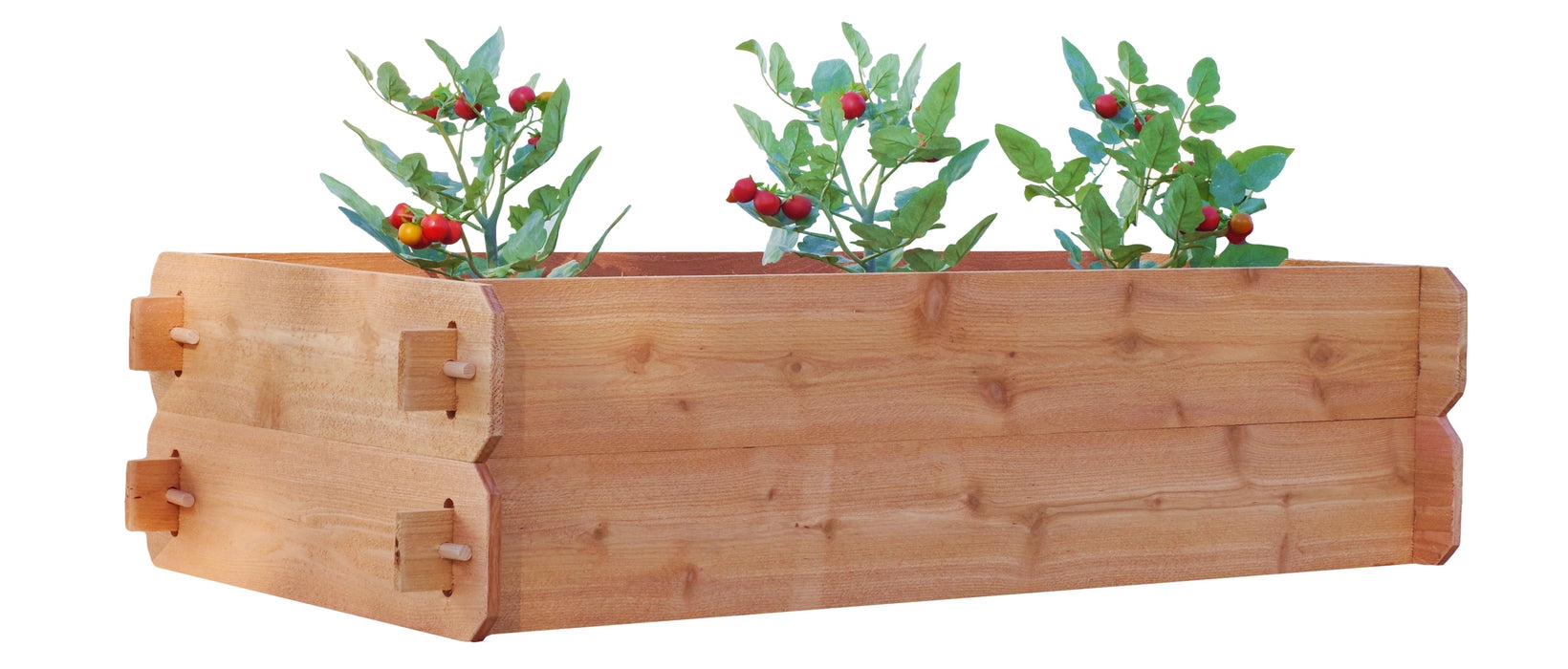 Timberlane Gardens Raised Garden Bed Kit Double Deep (Two 2x4)
