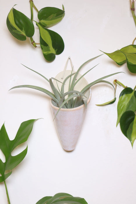 Medium Ceramic Wall Planter