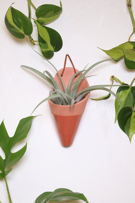 Medium Ceramic Wall Planter