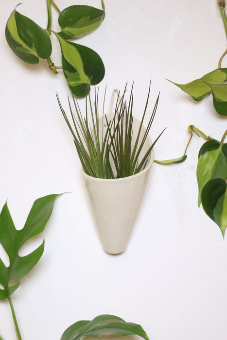 Medium Ceramic Wall Planter