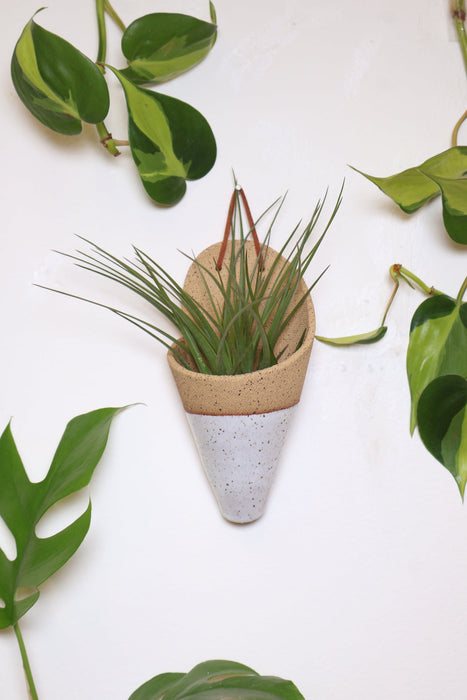 Medium Ceramic Wall Planter