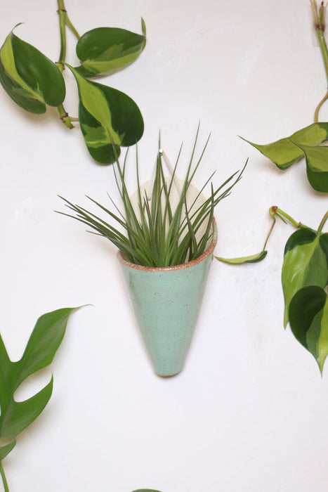 Medium Ceramic Wall Planter