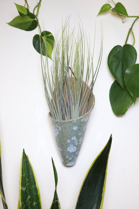 Large Ceramic Wall Planter