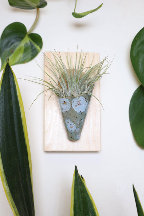 Tiny Ceramic Wall Planter