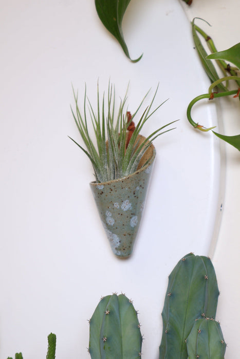Mini Wall Planter Magnet