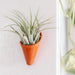 Small terracotta pot with a plant on a white wall, featuring a General Electric logo.