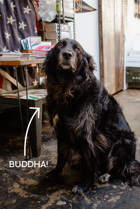 "The Buddha" Black Melange Fingerless Glove with Paw Palm