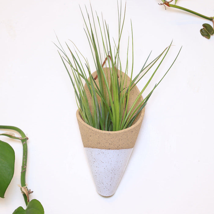 Tapered plant pot with green grass against a white background
