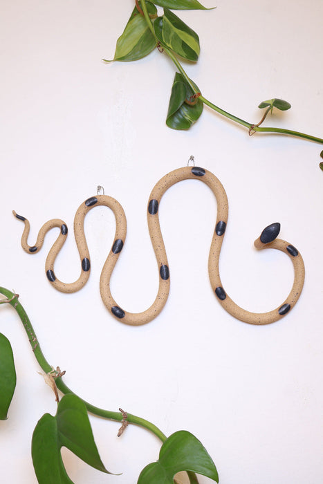Horizontal Wall Snake