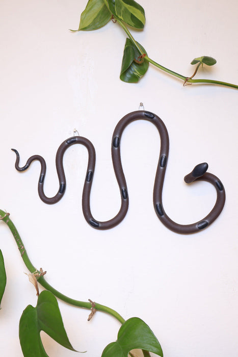 Horizontal Wall Snake