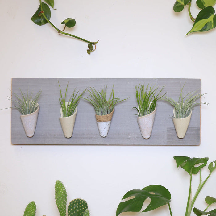 Potted plants on a white wall with a decorative panel featuring small plants.