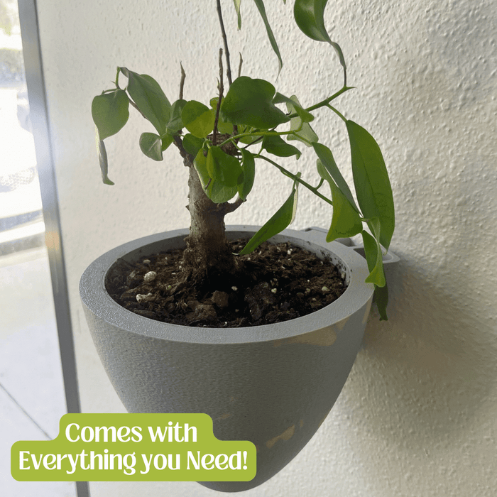 Magic Wall Planters with Internal Water Reservoir