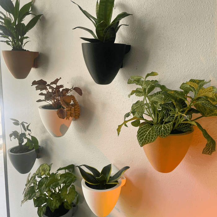 Magic Wall Planters with Internal Water Reservoir