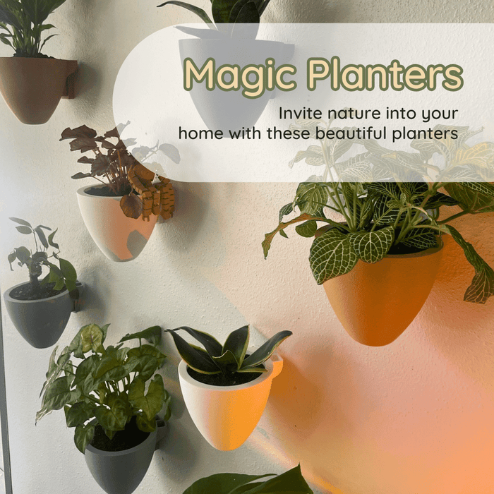 Magic Wall Planters with Internal Water Reservoir
