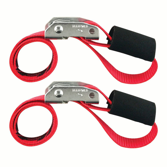 1" x 2' CINCH STRAP TIE-DOWN with CAM 1500 lb 2 PACK