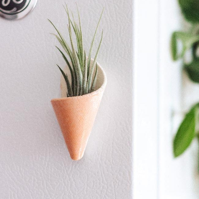 Terra cotta cone-shaped planter with a plant on a white wall.