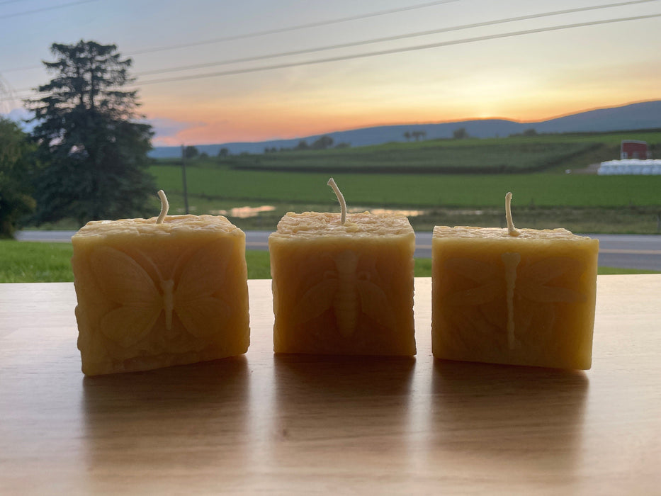 Pollinator Pillar Beeswax Candle Collection