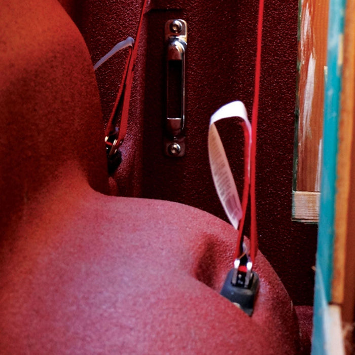 2 in x 16 ft E-Track Ratchet Strap Tie-Down 4,400 lb