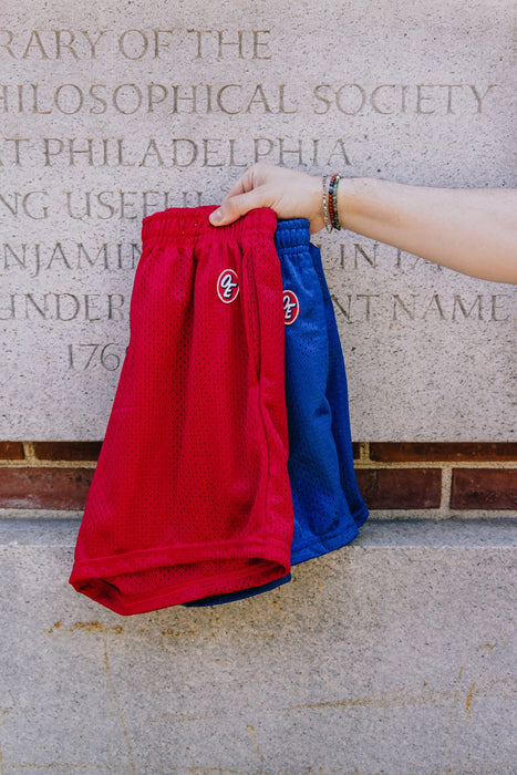 Classic Mesh Short