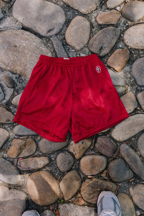 Classic Mesh Short