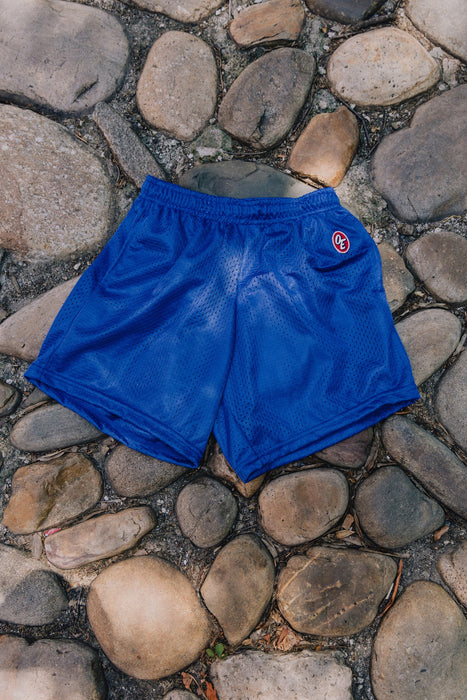 Classic Mesh Short