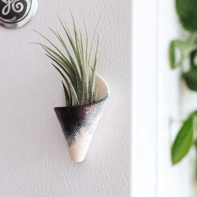 Trendy air plant holder on a white wall with a GE logo.