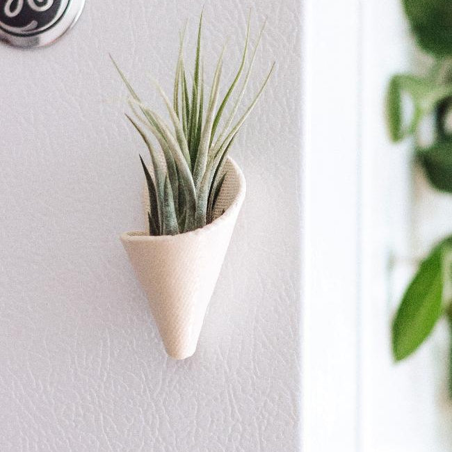 Conical plant holder with a plant on a white wall with GE logo