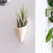 Conical plant holder with a plant on a white wall with GE logo