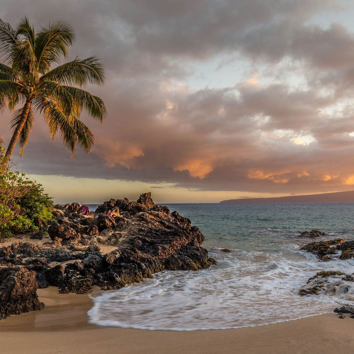 Pacific Islands: Tropical Candle Gift Set