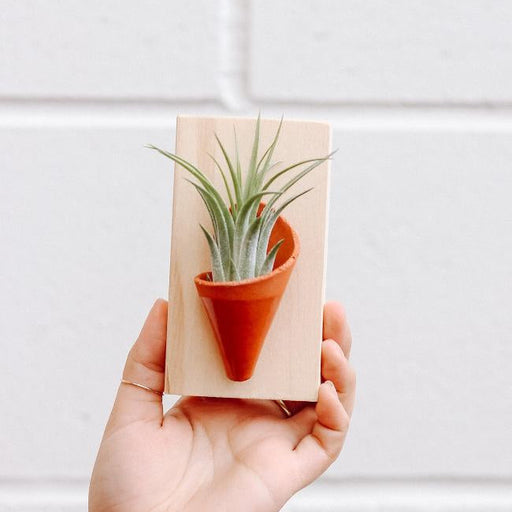 Hand holding a small wooden board with a clay pot and plant illustration against a white tiled wall.