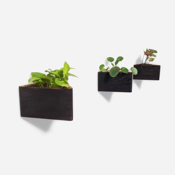 Triangle Self-Watering, Wall-Mounted Planter
